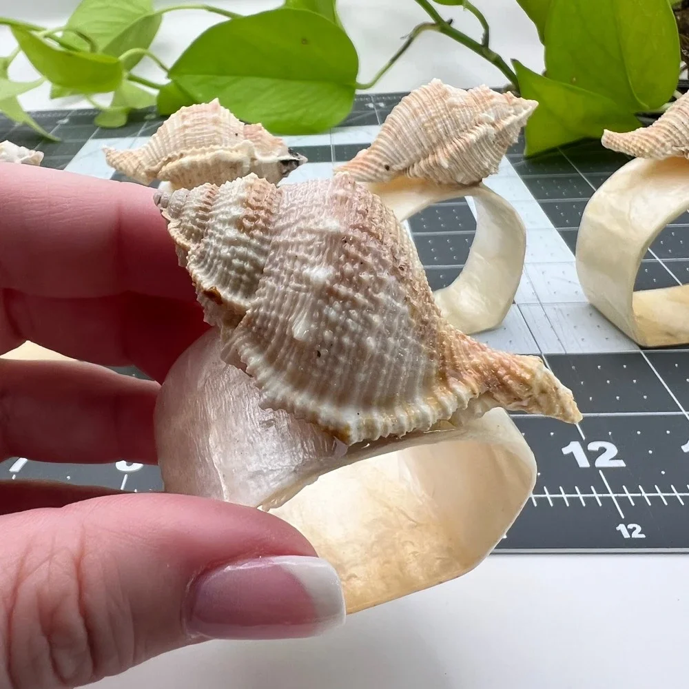 Vintage Mother Of Pearl Natural Sea Shell Napkin Ring Set(6) 1970s Retro Beach